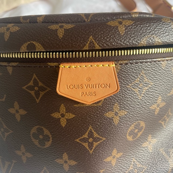 LV Bum Bag - Picture 3 of 6